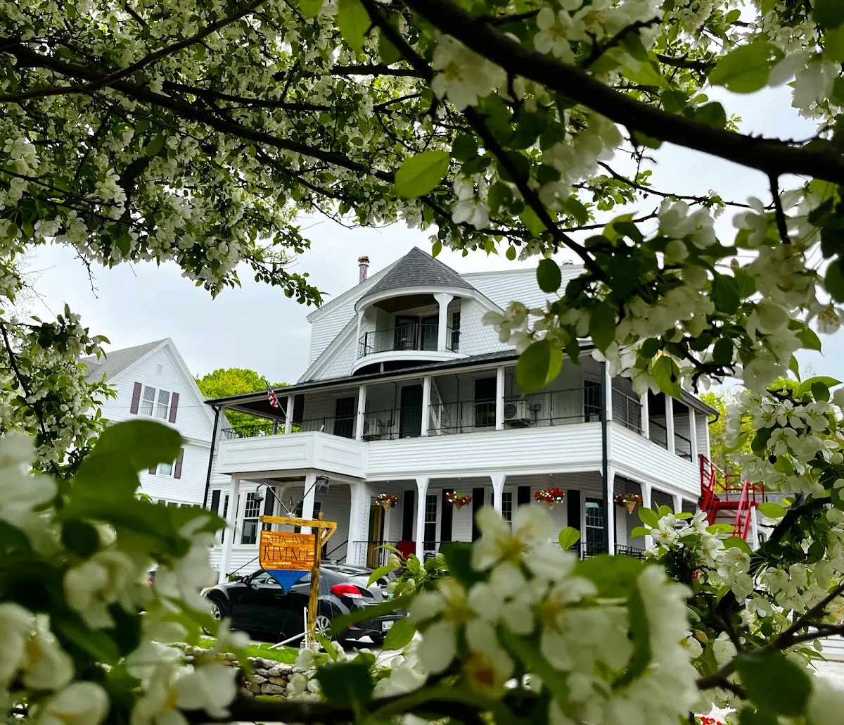 Queen Anne's Revenge