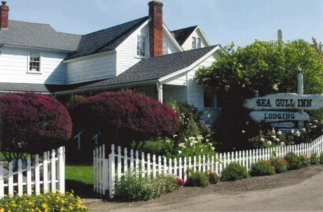 Seagull Inn Bed and Breakfast