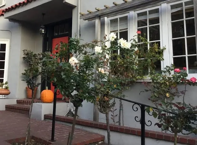My Rosegarden Guest Rooms