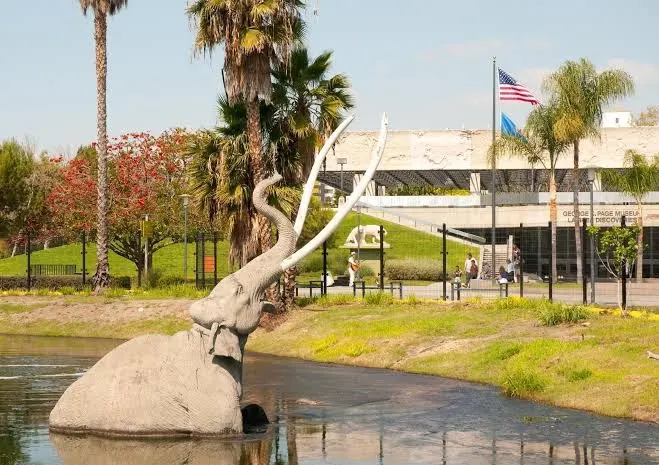 Wilshire Metro Hostel