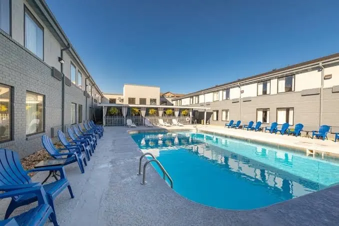 The Bransinn