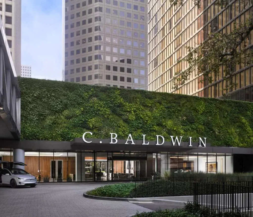 C. Baldwin, Curio Collection by Hilton