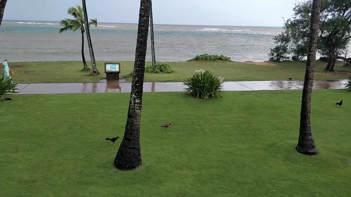 Hotel Coral Reef