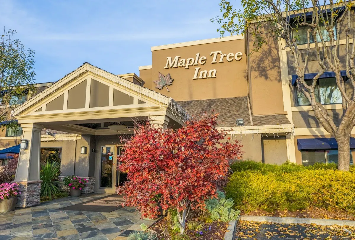 Maple Tree Inn