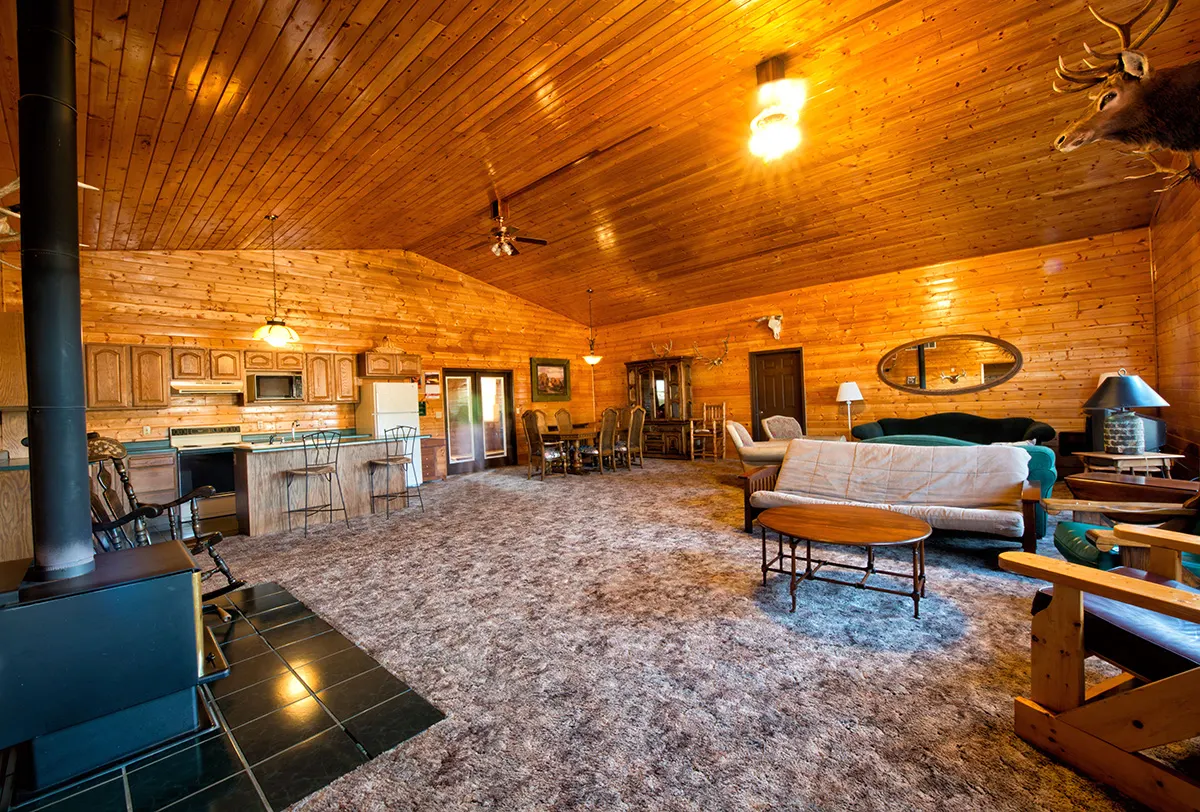 Wild Skies Cabin Rentals