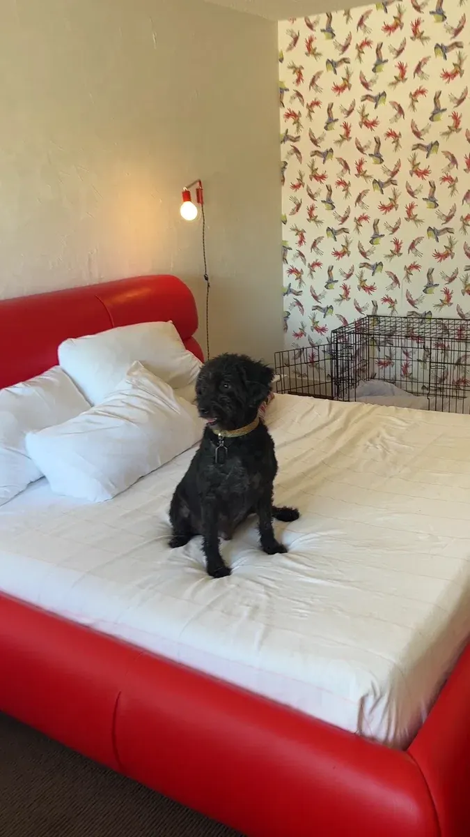Austin Motel