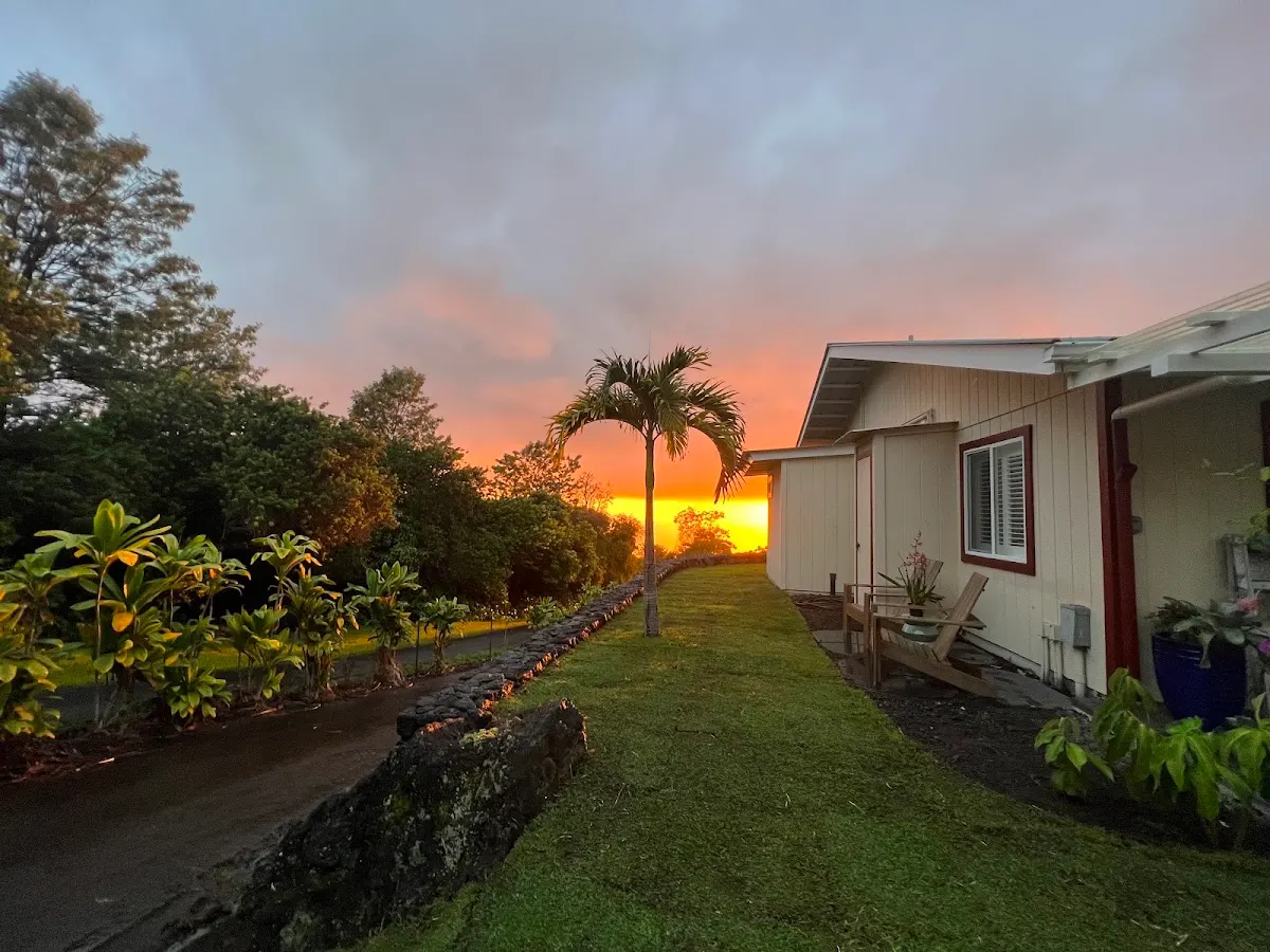 Mango Sunset BnB Inn at Lyman Kona Coffee Farms