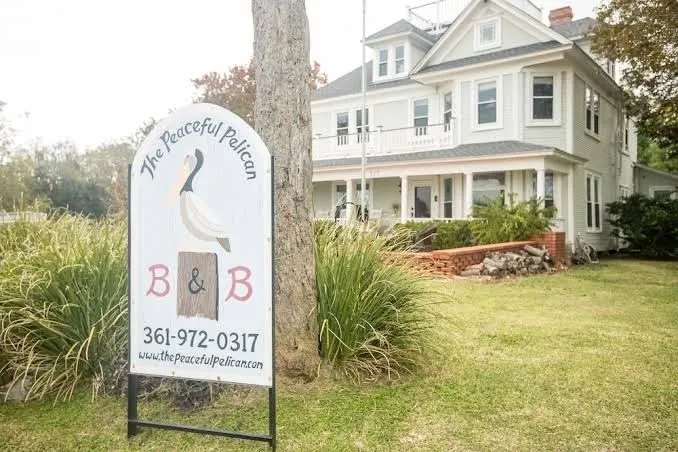 The Peaceful Pelican