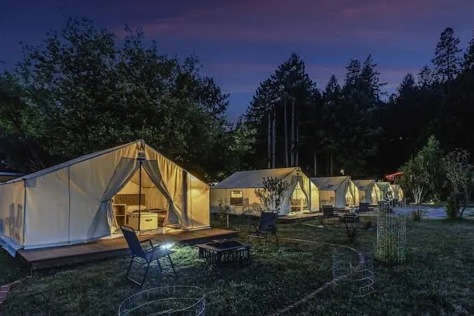 Surrey Resort