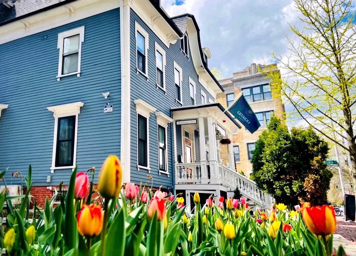 Ginkgo House on Harvard