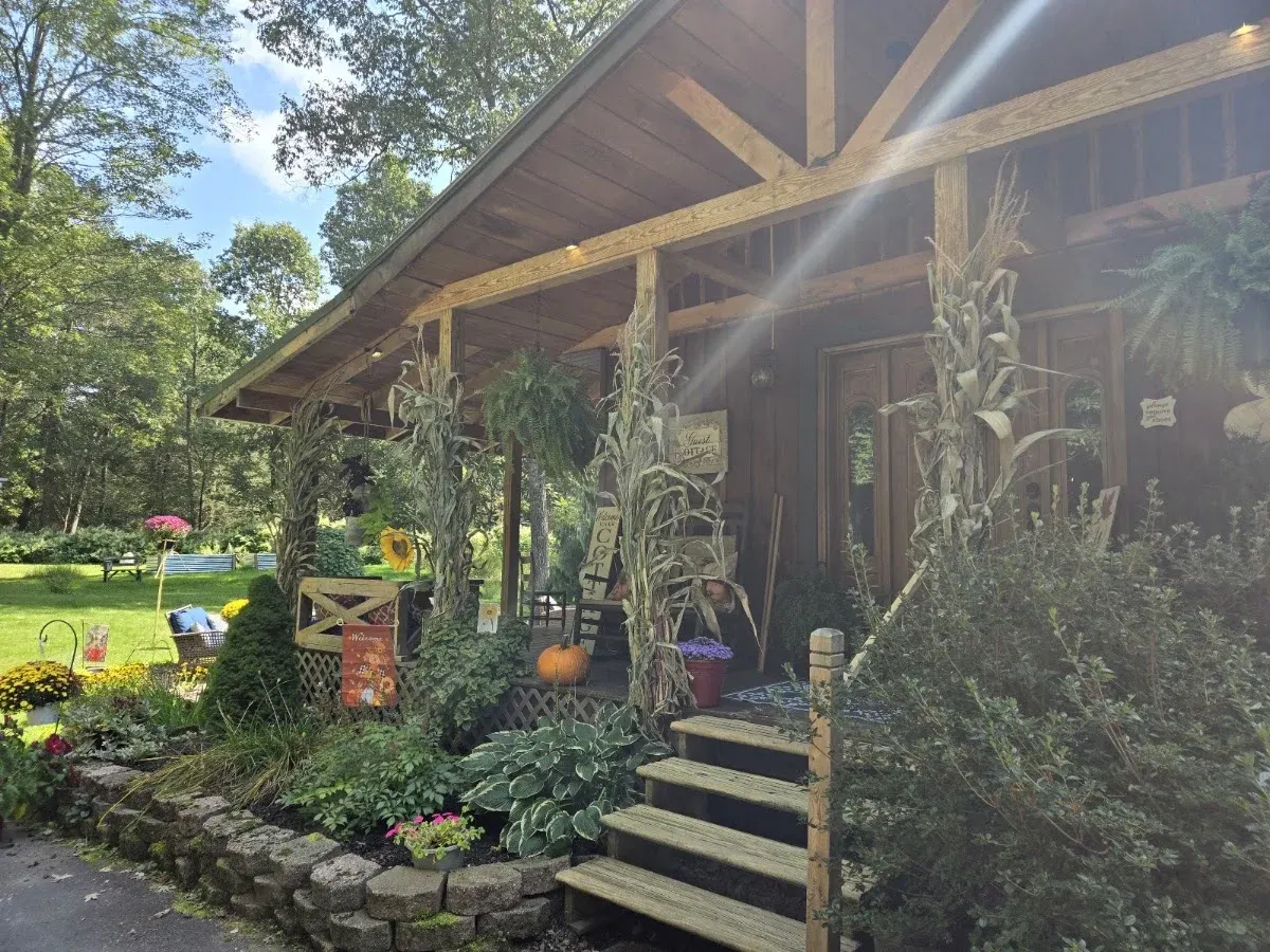 Cottage in the Woods B&B