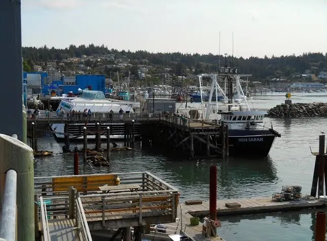 Anchor Pier Lodge