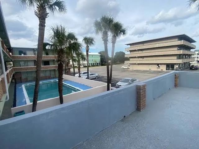 Palms By The Beach