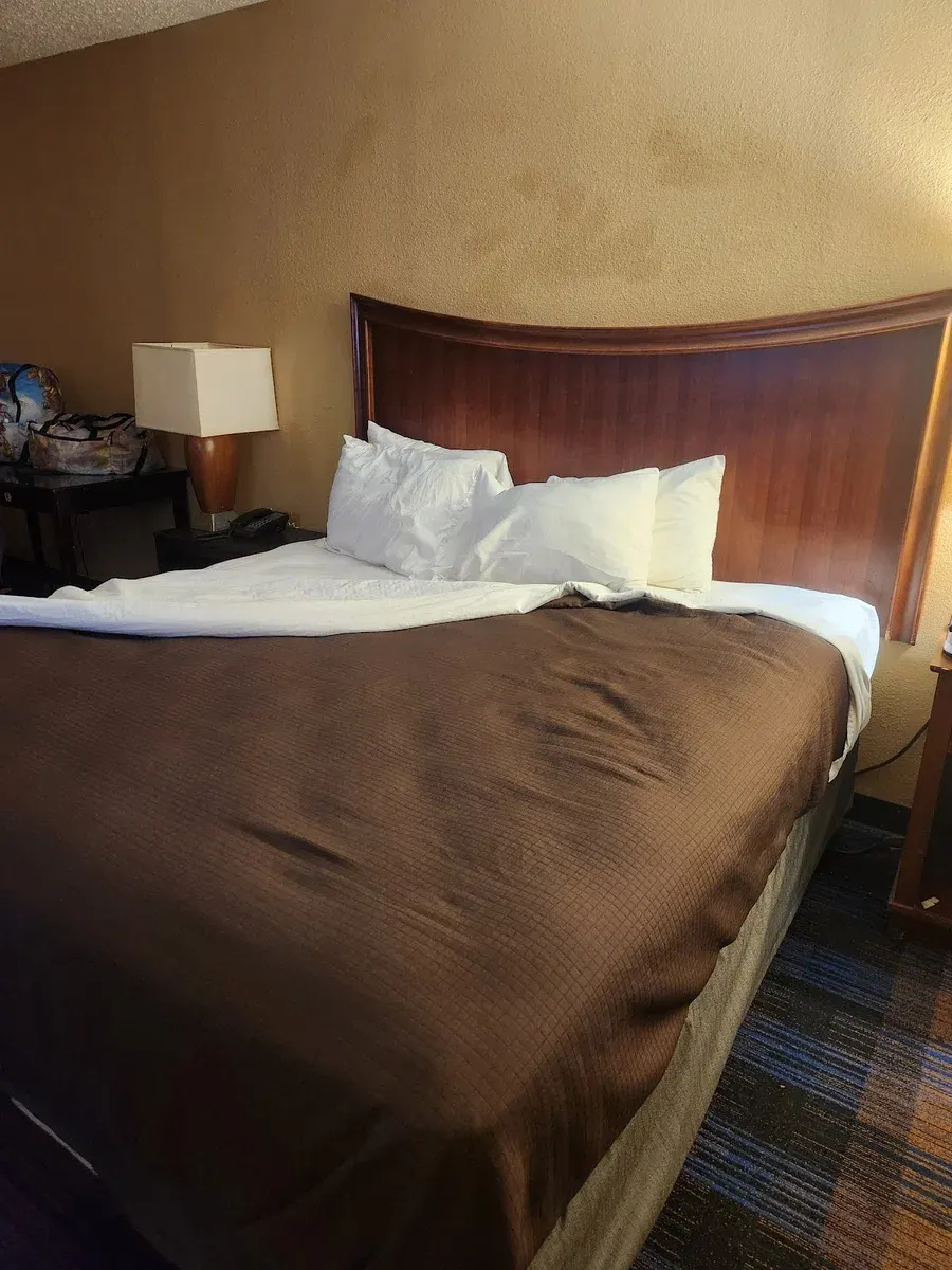 Millennium inn