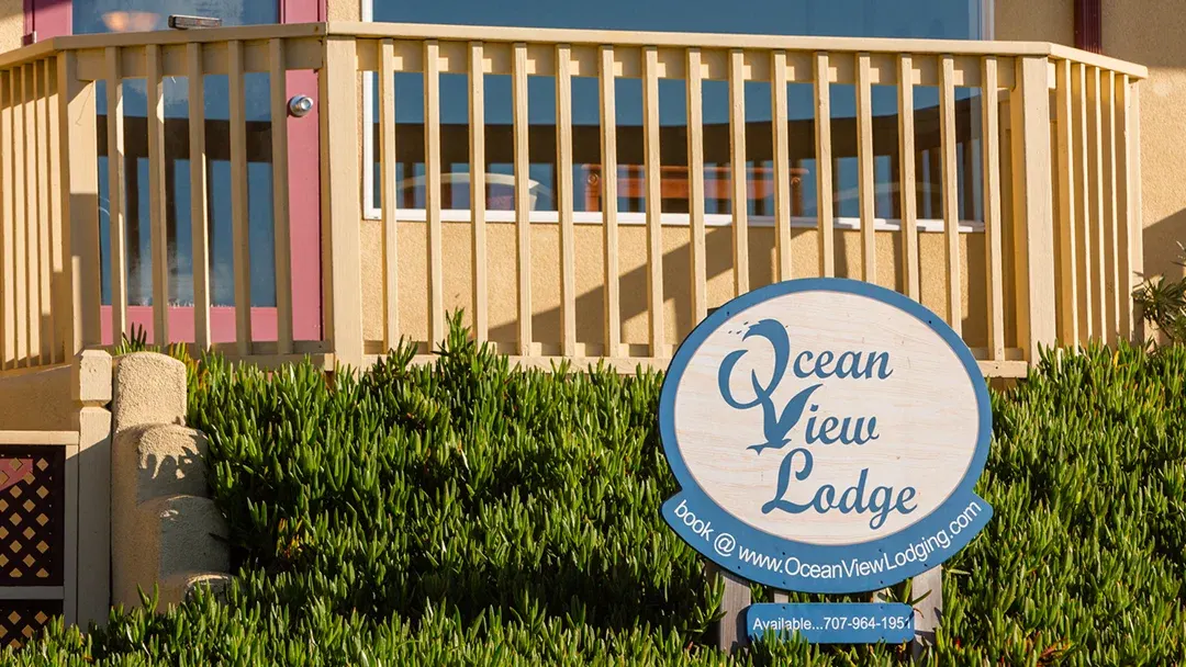 Ocean View Lodge