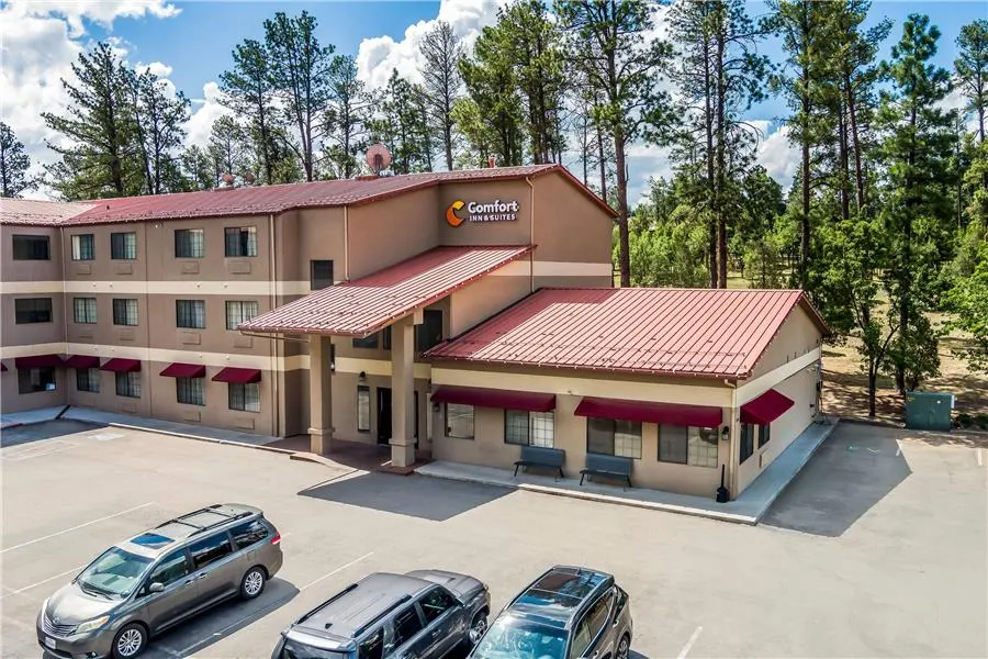 Comfort Inn & Suites Midtown