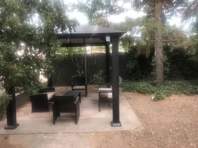 Pet Friendly Desert Oasis