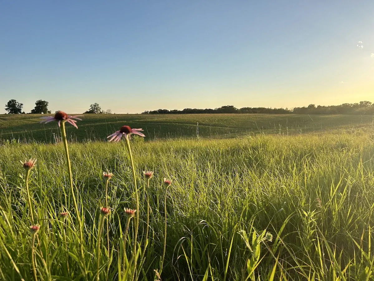 Whiterock Conservancy
