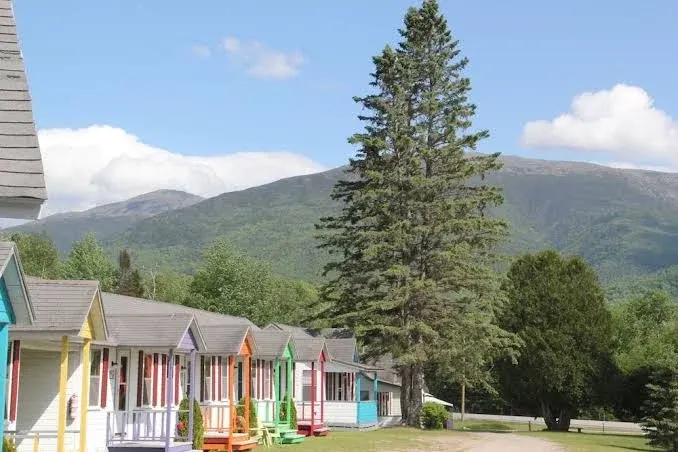 Mount Jefferson View