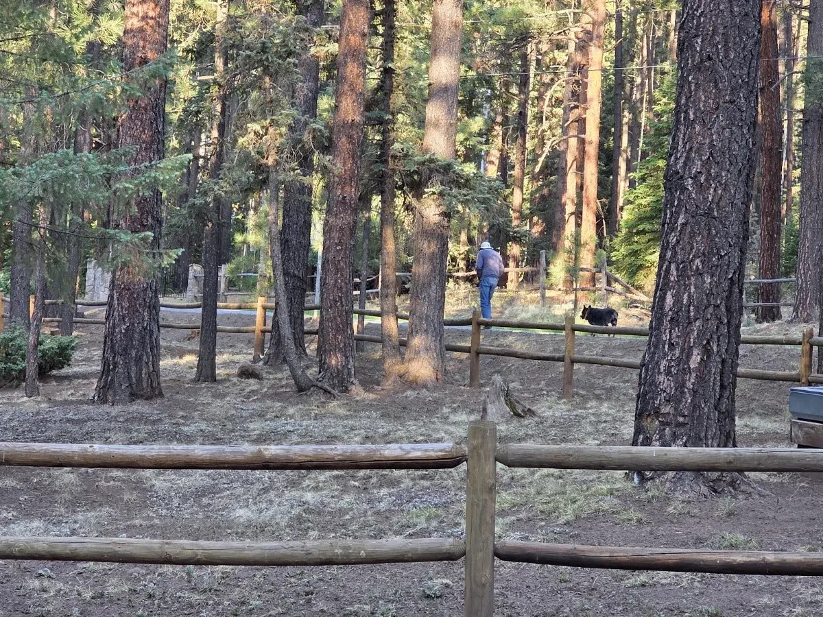 Trails End Cabins