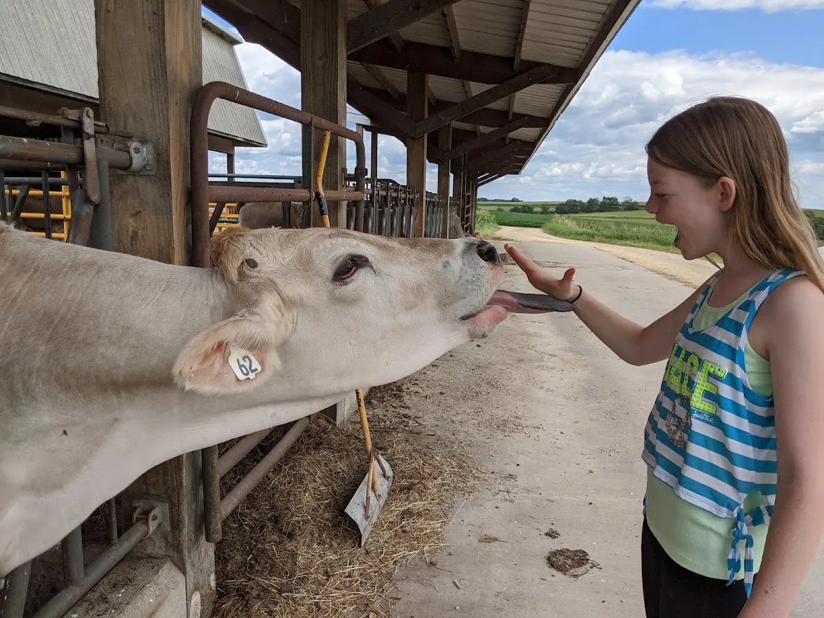 Wegmueller Farm - Home of 'The Dairy' Farmstay & 'The Brumby' Equine