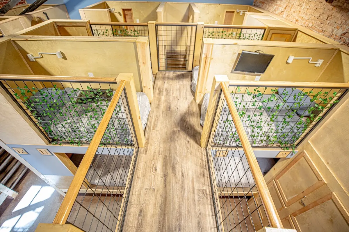 Social Stays - Luxury Hostel