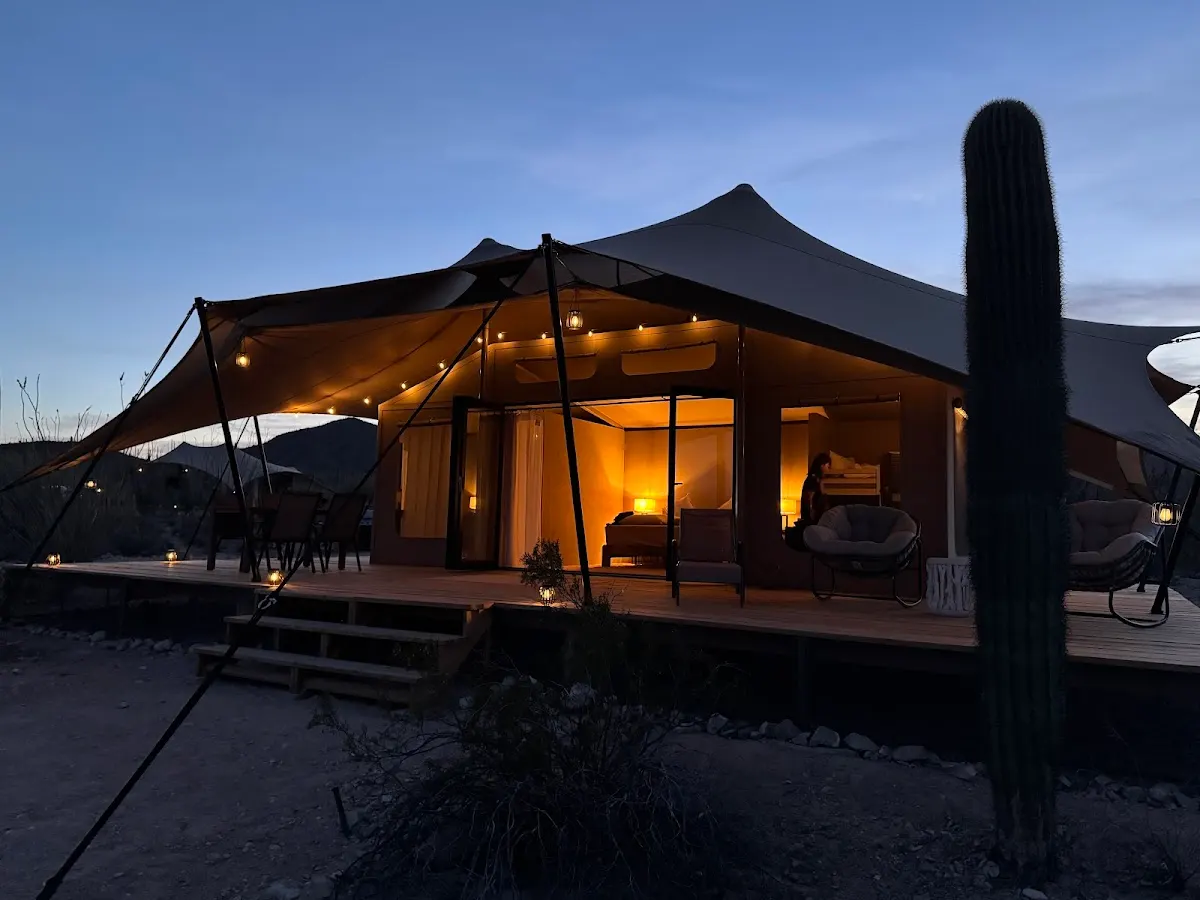 SaguaroGlamp