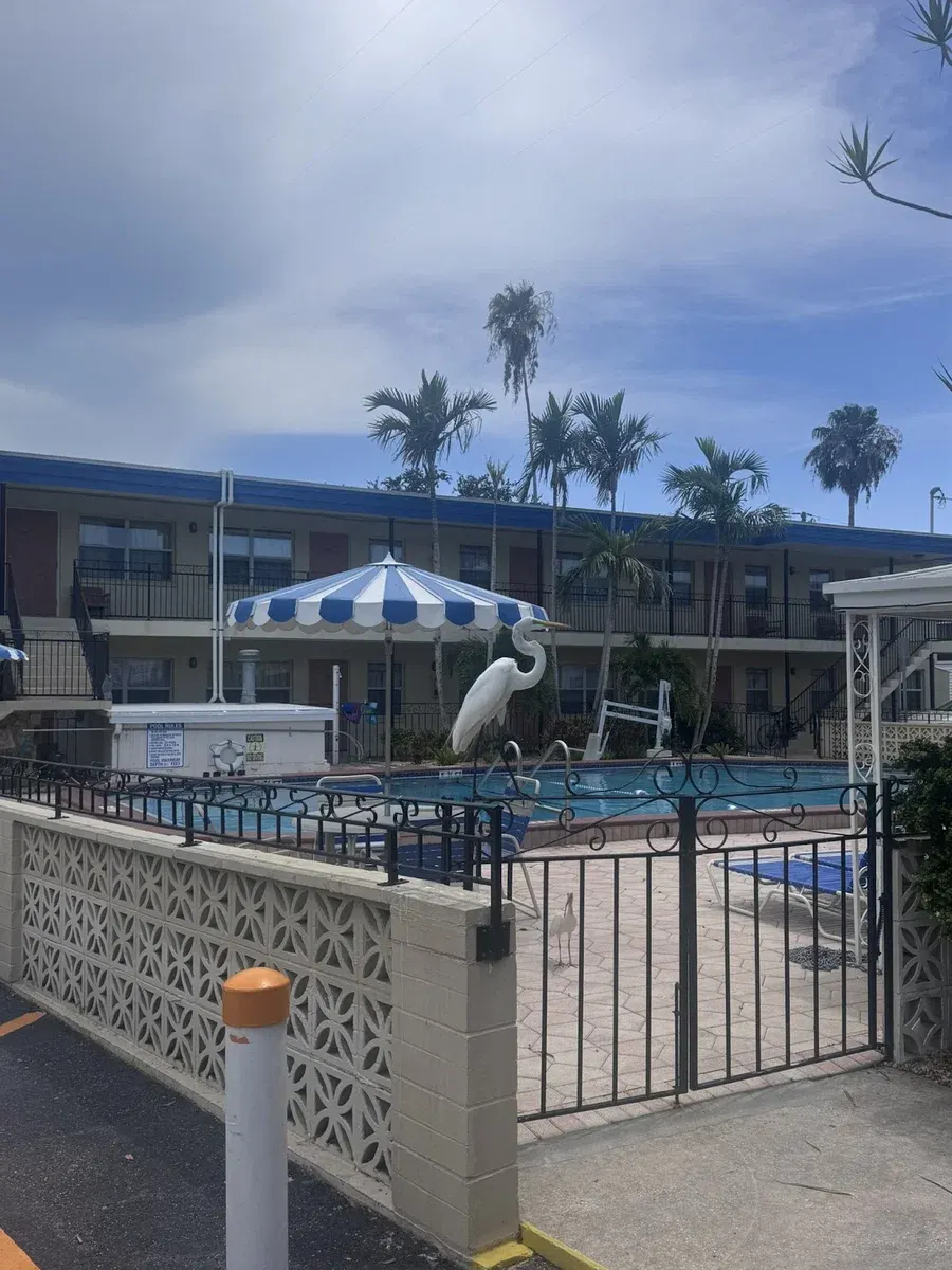 Belleair Village Motel