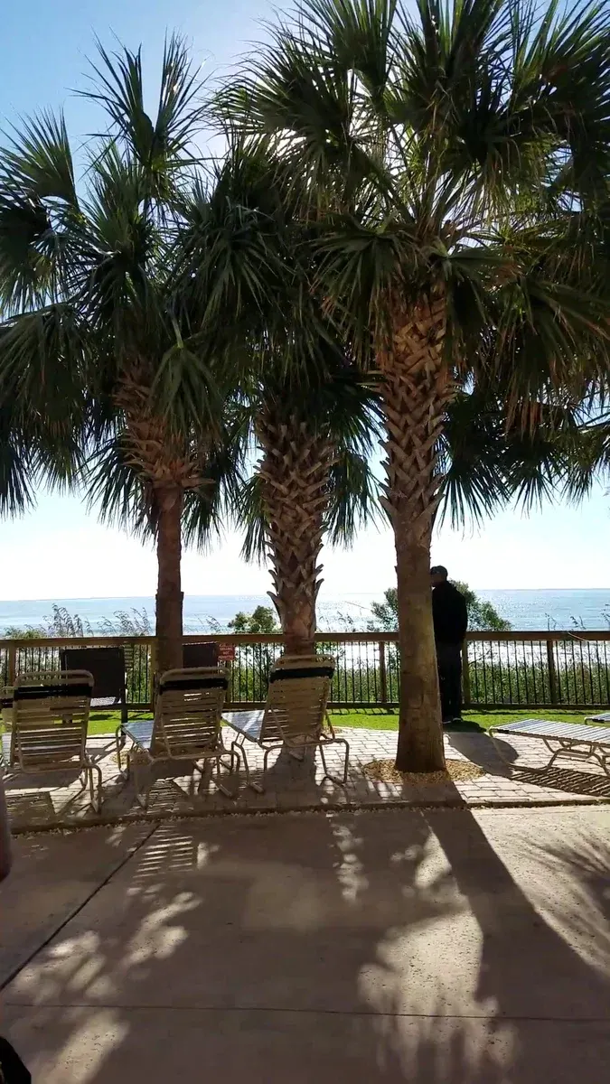 Island Vista Resort