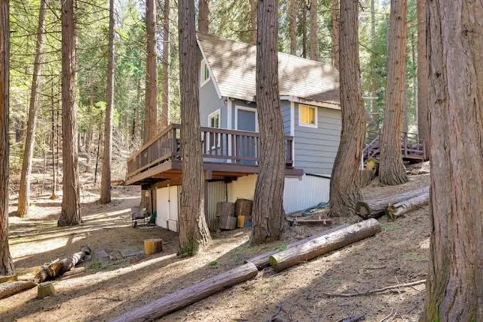 Hike, Ski & Sip: Arnold Cabin 4 Mi to State Park!