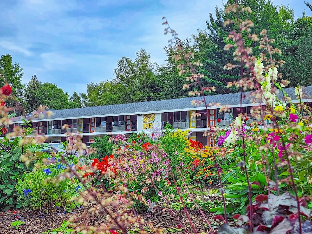 Cedar Motor Inn