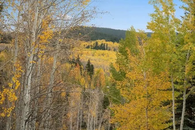 Two Creeks by Snowmass Vacations