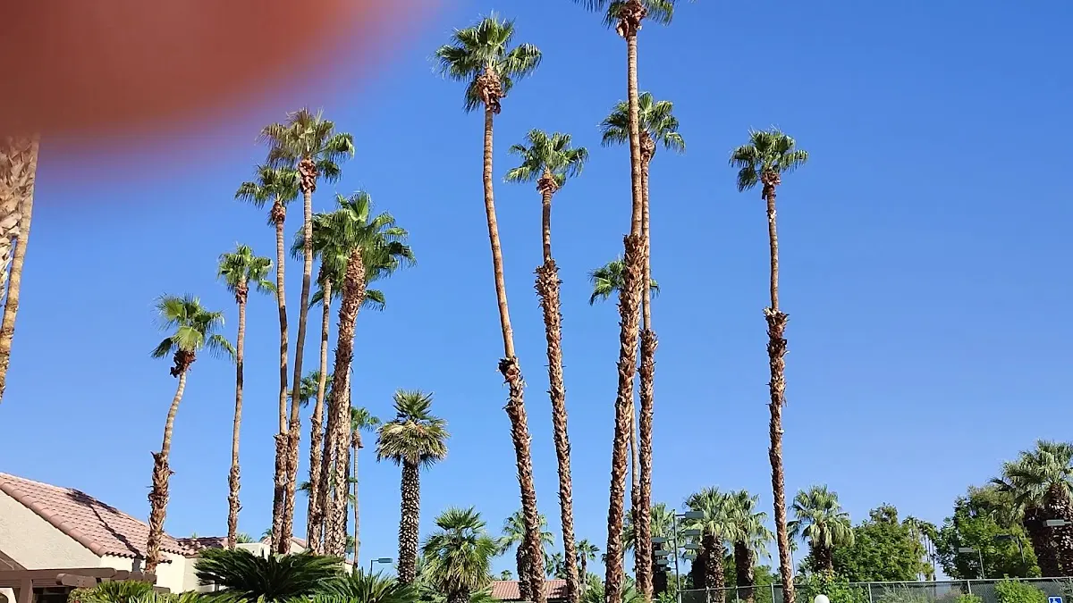 The Oasis Resort