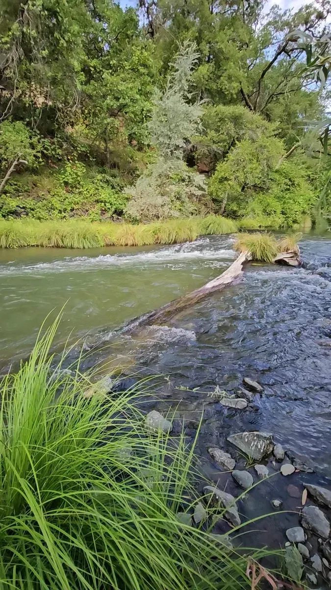 Russian River - Cloverdale, CA