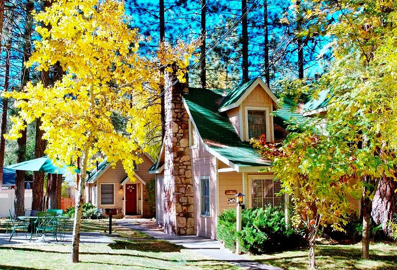 Sleepy Forest Resorts