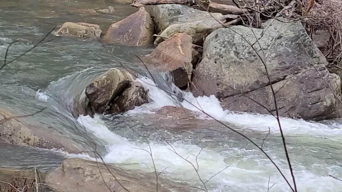 Abrams Creek Retreat & Campground